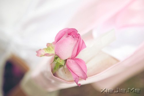 只要你在走，总会看到进步 (7)