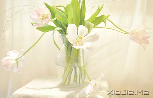 只要你在走，总会看到进步 (3)