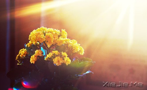 当下的付出，是明日的花开 (3)
