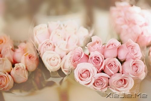 时光如此珍贵，只是我们一去不回 (9)