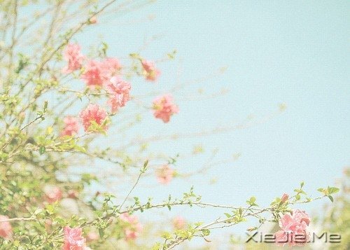 早安心语：得意时要看淡，失意时要看开 (5)
