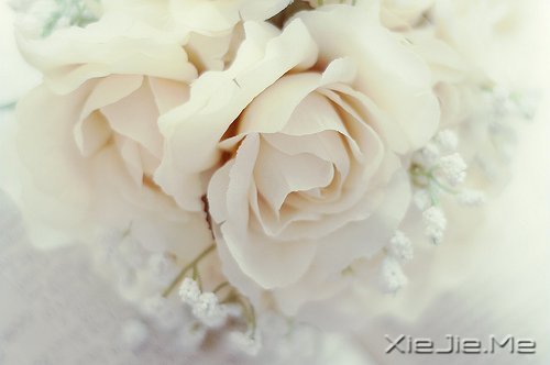 ʰ飬· (6)