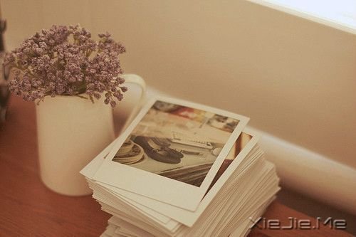 早安心语：我们以为的无路可走，其实是生命另一段旅程的开始 (5)