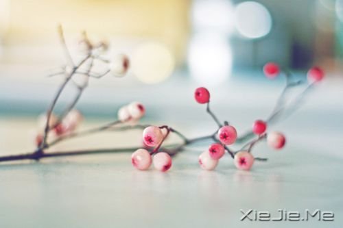 晚安心语：给自己多一点点的温情 (5)