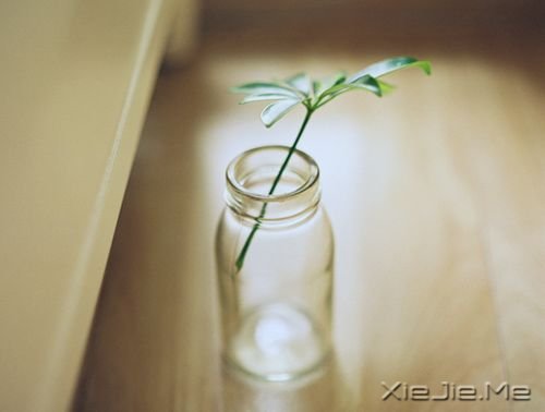 晚安心语：给自己多一点点的温情 (7)