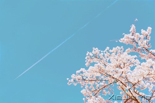 早安心语：只要你在走，总会看到进步 (1)