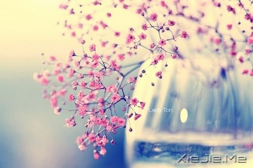 早安心语：只要你在走，总会看到进步 (7)