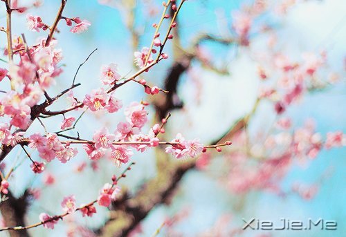 沈奇岚：无论何时，年华都盛开