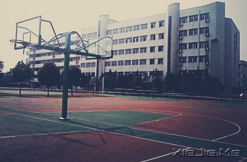 青春校园故事：我的大学