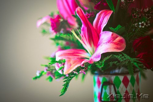文字：别人的母亲