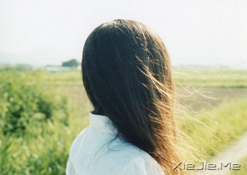文字：谢谢那些最后没得到的