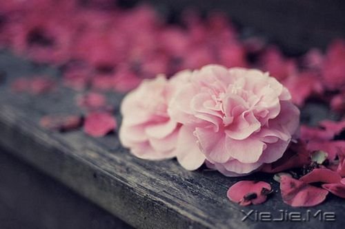 经典语录：20条经典人生感悟 (1)