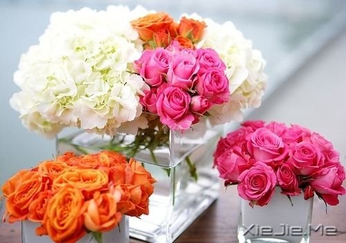 经典语录：20条经典人生感悟 (2)
