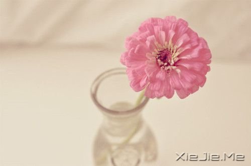经典语录：20条经典人生感悟 (3)