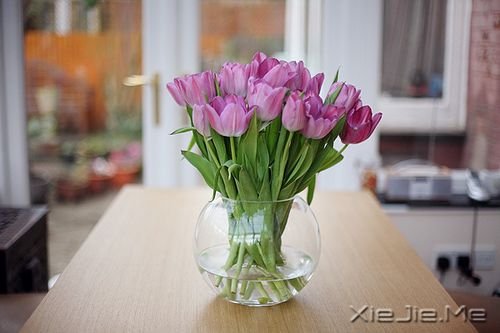 经典语录：20条经典人生感悟 (4)